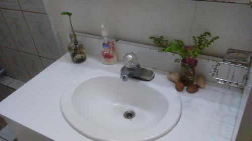 a white sink in a bathroom with plants on it at Don Santiago Guesthouse Downtown in San Ignacio
