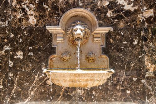 a fountain with a lion head on a stone wall at Pousada La Dolce Vita in Búzios