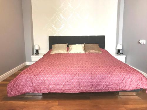 1 dormitorio con 1 cama grande y edredón rosa en Villahermosa Inn, en Castellón de la Plana