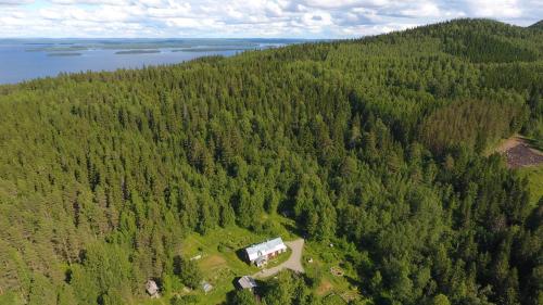 an aerial view of a house in the middle of a forest at Kolin Mattila B&B in Kolinkylä