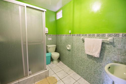 a green bathroom with a toilet and a shower at Hospedaje Turistico Recoleta in Cusco