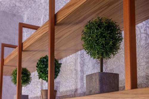 two potted plants sitting on top of a table at Villa Virginia Hotel in Karpenision