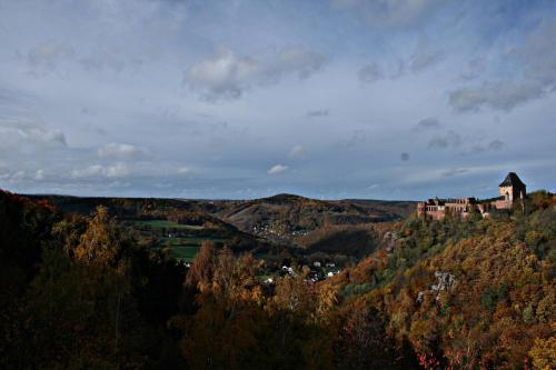 a castle on top of a hill with trees at Atempause mit Wellnessflair, Infrarotsauna in Nideggen