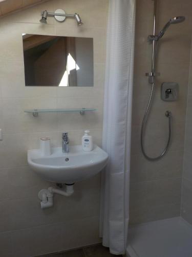 ein Badezimmer mit Waschbecken und Dusche mit Spiegel in der Unterkunft Berghütte Plafötschalm in Tiers