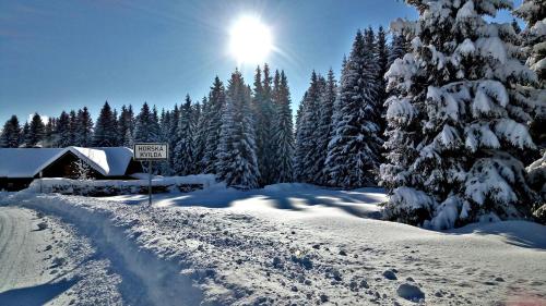 a snow covered forest with the sun in the sky at Penzion Horska Kvilda in Horská Kvilda