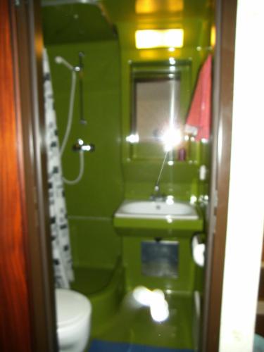 a green bathroom with a sink and a toilet at Haus Wieshammer in Niedernsill