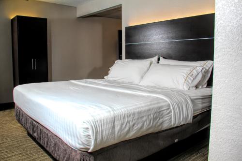 a large white bed with a black headboard in a room at Holiday Inn Express Rochester - Greece, an IHG Hotel in Rochester