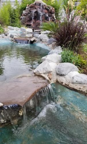a pond with a waterfall in a garden at Hotel Casa Sayu in Tumbaco