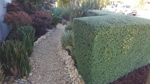 a hedge in a garden with plants at Saltwater Breeze Retreat in Cowes