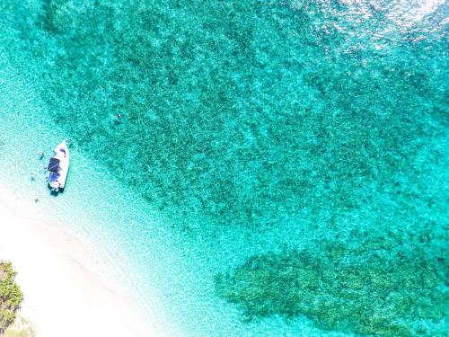 an aerial view of the ocean with a boat in the water at 473 Grenada Boutique Resort in Saint Georgeʼs