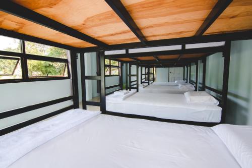 a row of four beds in a room with windows at Khaosok Secret Hostel in Khao Sok