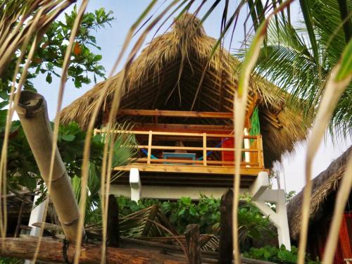 Κήπος έξω από το Bambú Ecocabañas