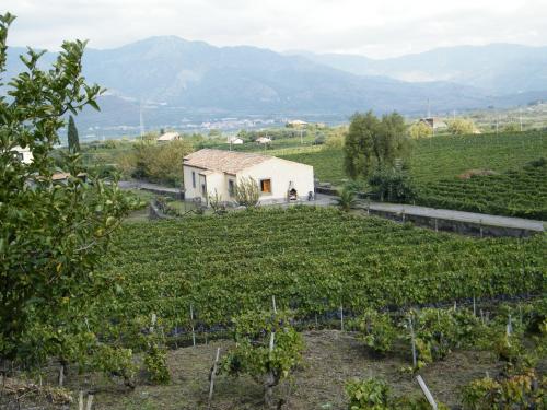 a house in the middle of a vineyard at Etna Wine Azienda Agrituristica in Passopisciaro