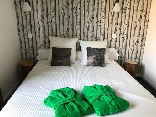 a bed with two green pillows on top of it at La chouette au bouleau in Hargnies