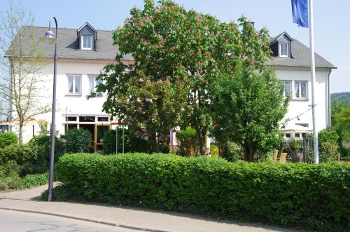 Afbeelding uit fotogalerij van Weingut Weich in Riol