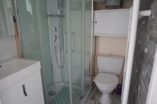 ビスカロッスにある40 RÉSIDENCE CAP SOLEIL -084のバスルーム(トイレ、ガラス張りのシャワー付)