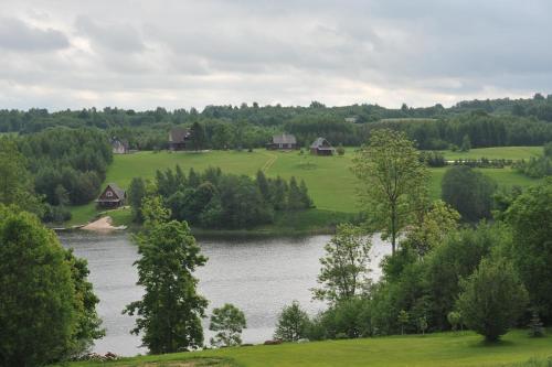 a view of a lake with houses and trees at Country Houses Vidų Sodyba in Utena