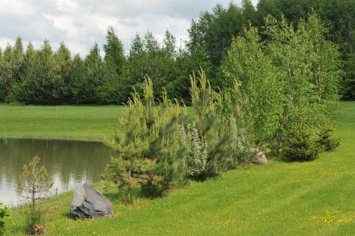 a grassy field with a pond and some trees at Country Houses Vidų Sodyba in Utena