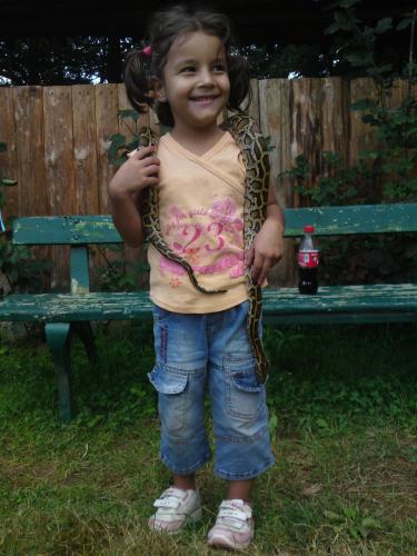 a little girl holding a large snake on a bench at Rusaliite Adventure House in Bachevo