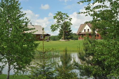 a house and a yard with a pond and trees at Country Houses Vidų Sodyba in Utena