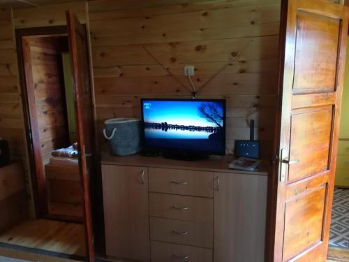 a television on a dresser in a cabin at Woodpeckers house in Zlatibor