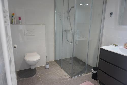 ビスカロッスにあるB13 RÉSIDENCE LE PALOMBAGGIA -064のバスルーム(シャワー、トイレ、シンク付)