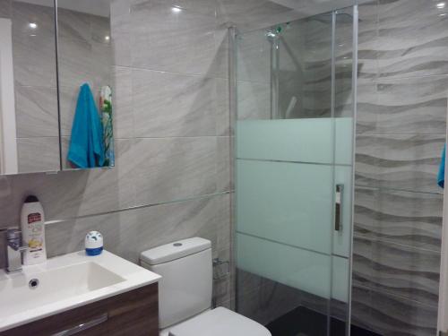トレビエハにあるFerienwohnung Torreviejaのバスルーム(シャワー、トイレ、シンク付)