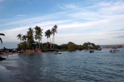 a beach with palm trees and a body of water at neapolis in Morro de São Paulo