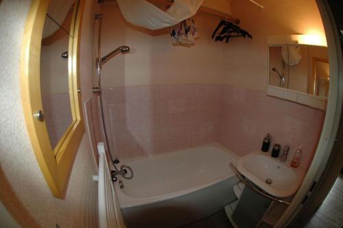 Koupelna v ubytování Spacieux studio Pré de chartreuse 2