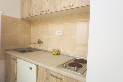 Η κουζίνα ή μικρή κουζίνα στο Studio Apartman LD u Strogom Centru