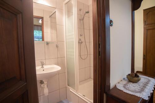 W łazience znajduje się umywalka i prysznic. w obiekcie Willa Wacława w Zakopanem