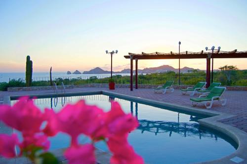 a swimming pool with pink flowers in the foreground at Sunrock Hotel & Suites in Cabo San Lucas