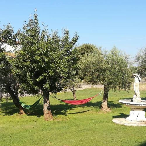 a hammock in a park between two trees at Agriturismo La Palazza in Sala Consilina