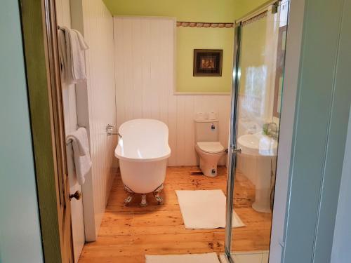 a bathroom with a toilet and a glass shower at Coragulac House Cottages in Alvie