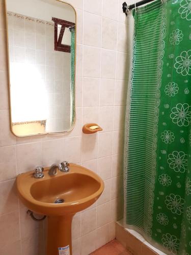 a bathroom with a sink and a green shower curtain at Hopedaje Felisa in Cafayate