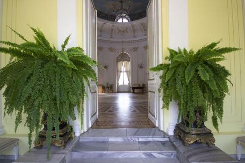 a hallway with two palm trees in a building at Hotel butikowy Pałac Jabłonna in Jabłonna