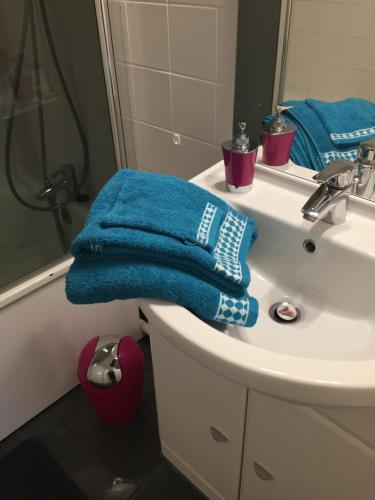 un baño con una toalla azul sobre un lavabo en Appartement Le Grand Parc, en Châteauroux