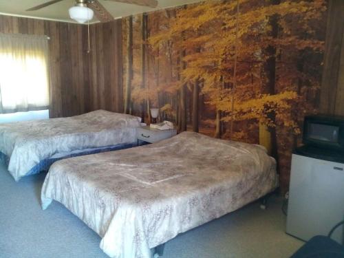 Postel nebo postele na pokoji v ubytování Mountaineer Motel