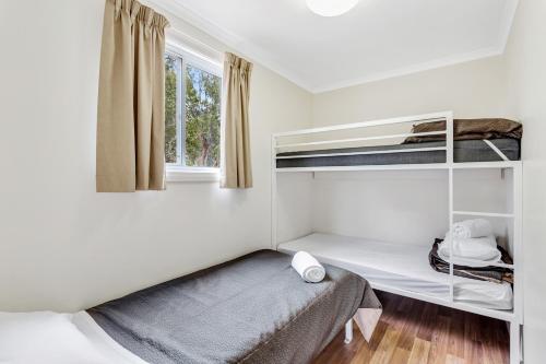 a bedroom with two bunk beds and a window at Narrabri Big Sky Caravan Park in Narrabri