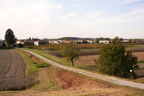 a dirt road in the middle of a field at B&B Arcadia in Gualtieri
