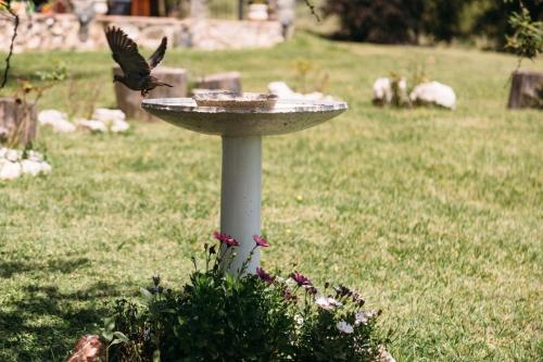 Un jardín fuera de Cerro Molinos