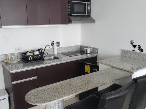 a kitchen counter with a sink and a microwave at Ibiza Playa Corona in Chame