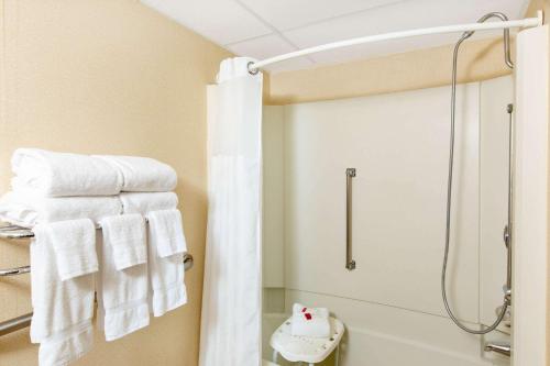 a bathroom with a shower and a toilet and towels at Ramada by Wyndham Midtown Grand Island in Grand Island