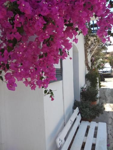 a white wall with purple flowers hanging over a bench at Chez Cécile Home in Mochlos