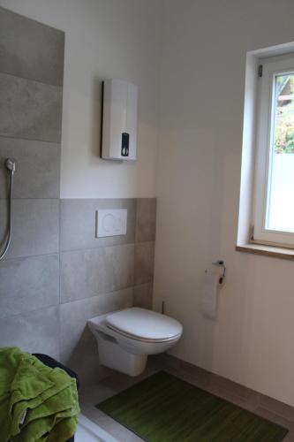 a bathroom with a white toilet and a window at Ferienhaus 59 in Kinding