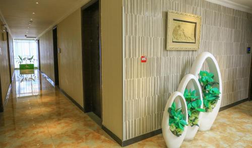 a hallway with two potted plants on a wall at Denver boutique hotel in Addis Ababa