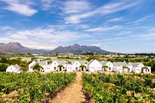 a row of white houses in a vineyard at De Zalze Lodge in Stellenbosch