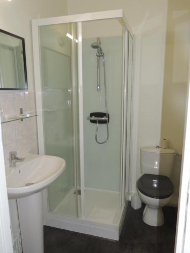 La salle de bains est pourvue d'une douche, de toilettes et d'un lavabo. dans l'établissement Le Gue de Genes, à Ambrieres Les Vallees