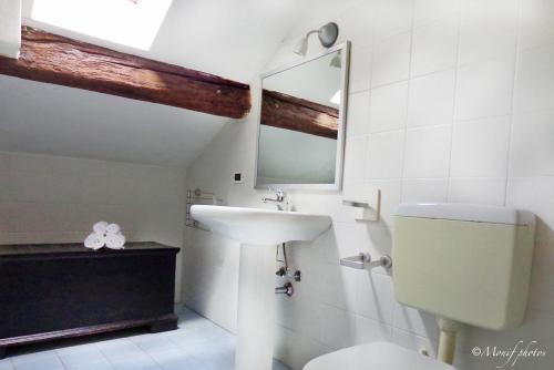 bagno con lavandino, servizi igienici e specchio di Locanda Della Biscia a Ferrara