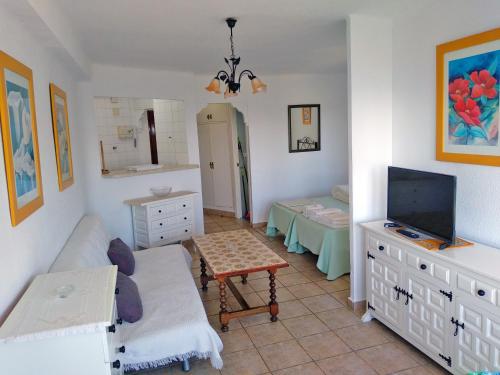 TV a/nebo společenská místnost v ubytování Apartamentos Intercentro Algarrobo-Costa APARTAMENTOS TURÍSTICOS -INMOBILIARIA